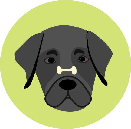 BlackLab.jpg