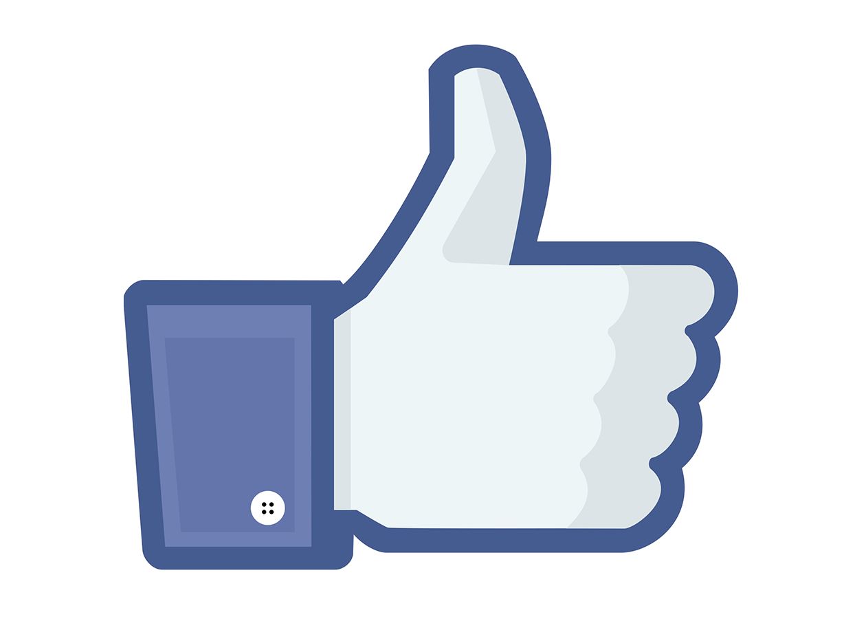 The Pitfalls of a Facebook Monopoly