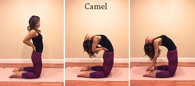 Camel-.jpg