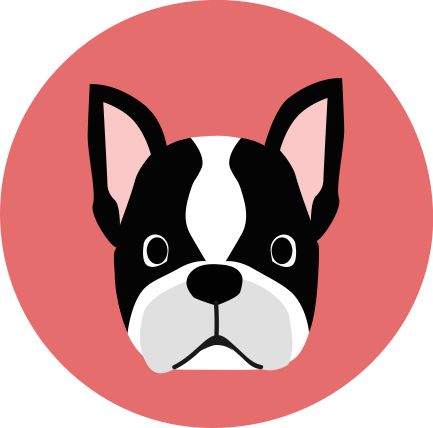 Frenchie.jpg