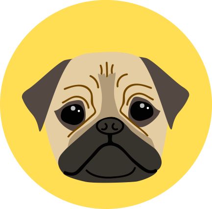 Pug.jpg
