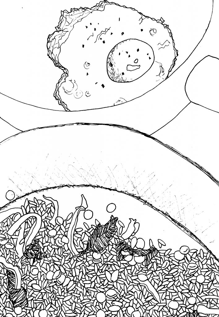 fried-rice-708x1024.png
