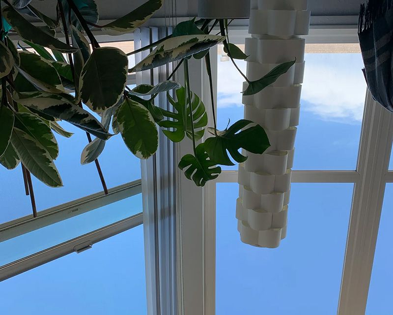 upsideDown.jpg