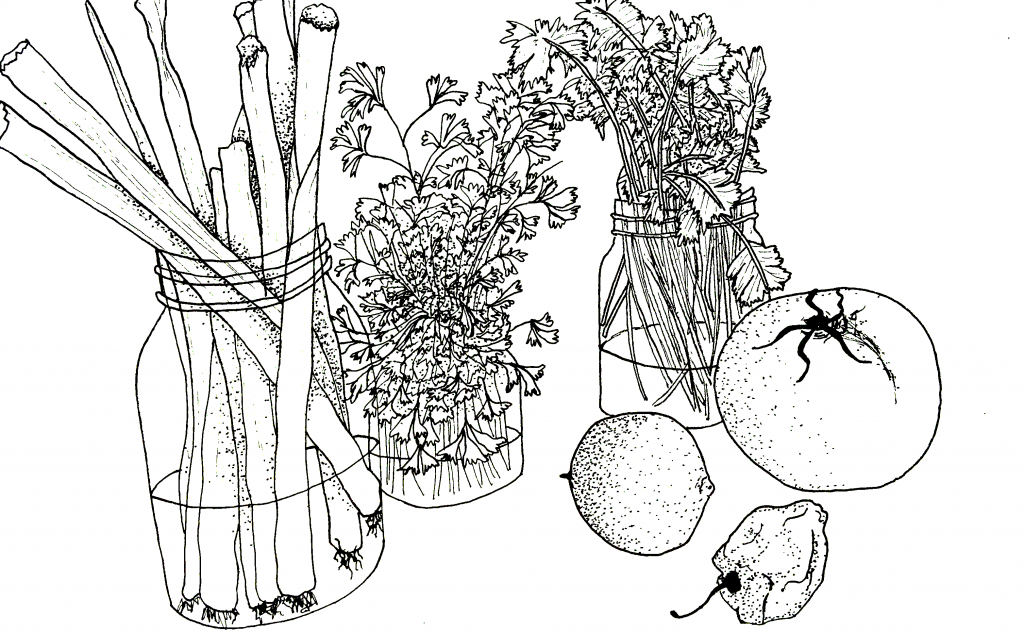 veggies-1-1024x632.png